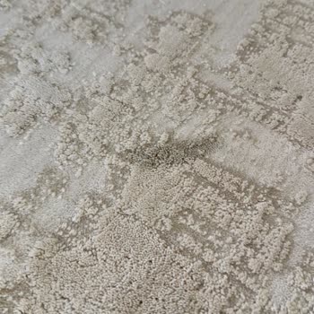 Aksa Halı Yıkama (İzmir) Yıkamadan Getirdi