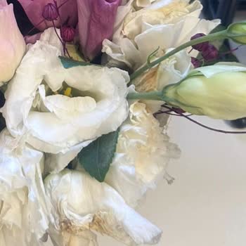 ÇiçekSepeti Gönderilen Çiçeğin Özensizliği