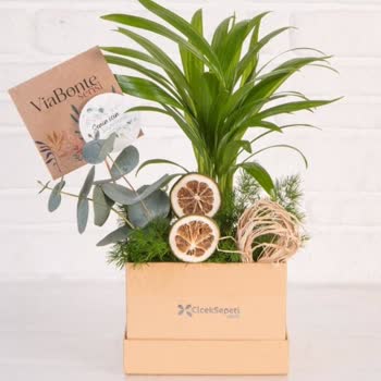 Çiçek Sepeti Pişmanlıktır!