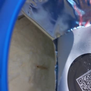 Nutricia Mamanın İçinde Kurt Çıktı