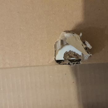 IKEA'nın Ürün Değişimi Hakkında Şikayetim