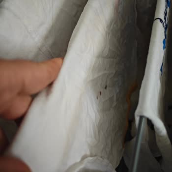 Bosch Washer Rips Fabrics