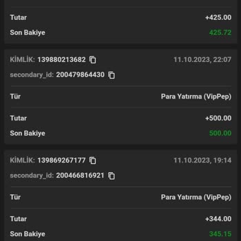 Pashagaming 4 Kere En Az 300 Yatırdım 5. Sadakat Bonusu İstediğimde Engel Vurdular