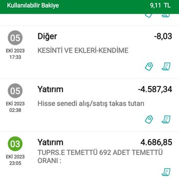 Garanti BBVA Hisse Senedi Alış, Satış Tutarı