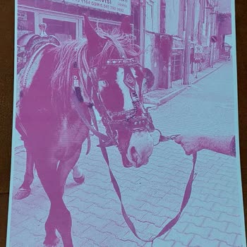 Epson Rengi Bozuk Çıktı