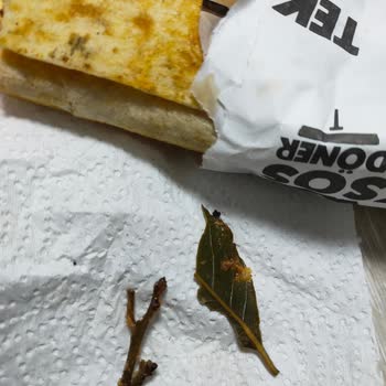 1Teksos Döner Yemeğin İçinden Ağaç Yaprağı Ve Dalı Çıktı