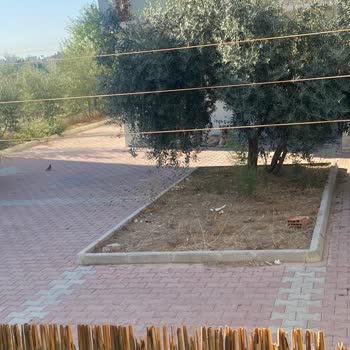 Kepez Belediyesi Sahipsiz Hayvan Sorunu