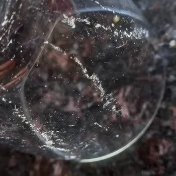 Arçelik Bulaşık Makinesi Bardakları Kirli Bırakıyor.