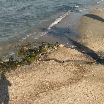 Kuşadası Belediyesi Sahilde Lağım Suları!