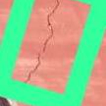 DASK (Doğal Afet Sigortaları Kurumu) Hizmetlerindeki Sorunlar