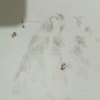 A101'den Çalışma Masası Siparişiyle İlgili Sorun