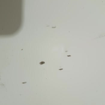 A101'den Çalışma Masası Siparişiyle İlgili Sorun