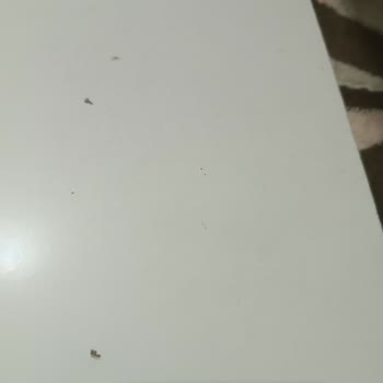 A101'den Çalışma Masası Siparişiyle İlgili Sorun