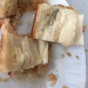 Levent Börek İçinin Küflü Olması