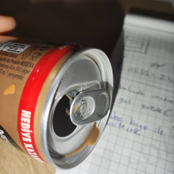 Nescafe Express Soğuk Latte Böcek Çıktı