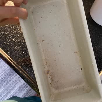 Schafer Kek Kalıbı Soyuldu