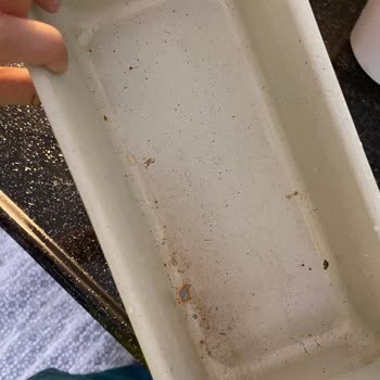 Schafer Kek Kalıbı Soyuldu