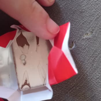 Ülker Napoliten Çikolata Bayat Ve Küflenmiş