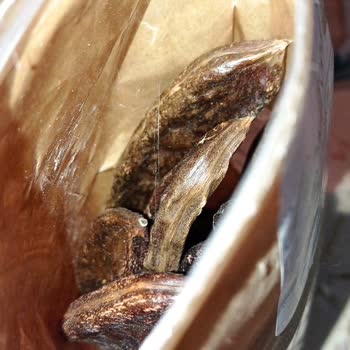 File Market Kurtlu Ürün Satışı Ve Bozuk Ürün