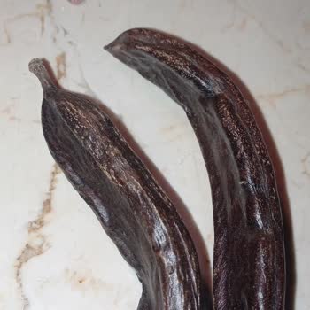 File Market Kurtlu Ürün Satışı Ve Bozuk Ürün