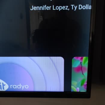 Onvo TV Teknik Servis Paneli Tamir Etmedi.