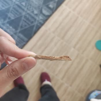 Master Potato Adlı Cipsten Tahta Çıkması!