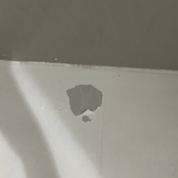 Bianca Boya Pişmanlığı