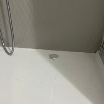 Bianca Boya Pişmanlığı