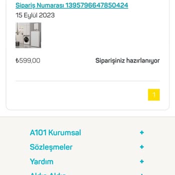 A101 İnternet Sitesi-ulaşılamama Ve Kargo Problemi