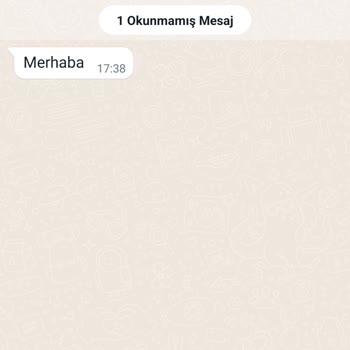 WhatsApp +1 Kodlu Numaradan WhatsApp Mesajı