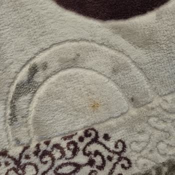 Kastamonu Okyanus Halı Yıkama Gittiği Bibi Gelen Halılar