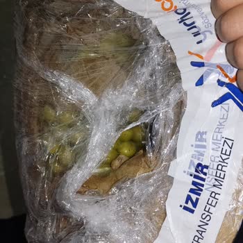 Sumbul_hanmdan Reklamları İle Alınan Zeytin Ürününde Sorun