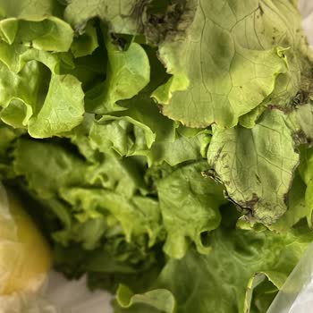 A101 Çürük Meyve Ve Sebze