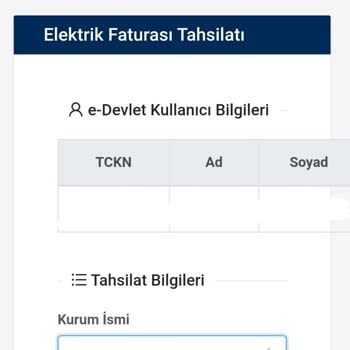 E-Devlet (Turkiye.gov.tr) Elektrik Faturası Ödenmiyor Hatası