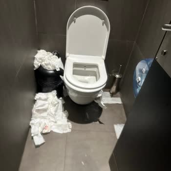 Starbucks Coffee Eskişehir Üniversite Caddesi Şubesi Temizlik Durumu