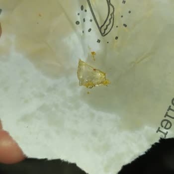 Maydonoz Döner Eskişehir Şubesi Dürümden Cam Çıktı