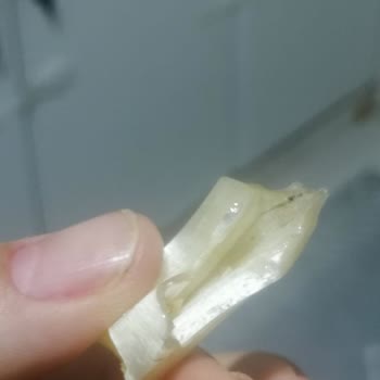 Gürbüzler Kuruyemiş G******** Orcik Şekeri Den Sinek Çıktı