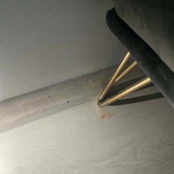 Demente Mobilya Koltuk Takımı Sorunu