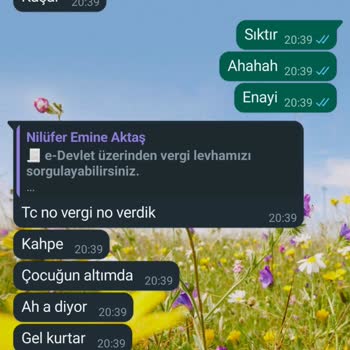Evde Paketleme İşlemi Hakkında Dikkat Çekici Bilgiler