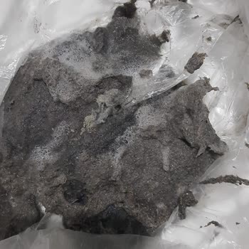 İnci Halı Yıkama (Eskişehir) İlgisiz, Saygısız Bir İşletme