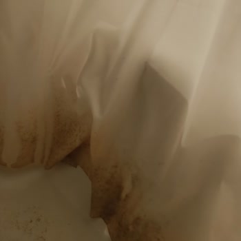 Pemar Beach Resort Tehlikeli Vidalar, Açıkta Priz Tehlikeleri, Pis Duş Perdesi