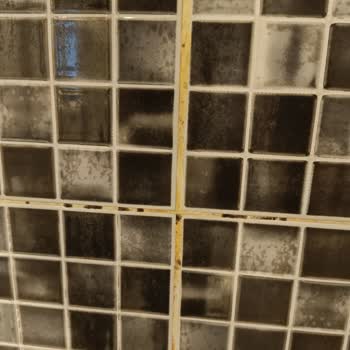 Pemar Beach Resort Tehlikeli Vidalar, Açıkta Priz Tehlikeleri, Pis Duş Perdesi