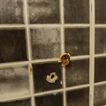 Kültür Ve Turizm Bakanlığı Paslı Vidalar, Tehlikeli Priz, Pis Banyo Perdesi, Paslı Demir