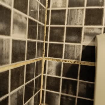 Kültür Ve Turizm Bakanlığı Paslı Vidalar, Tehlikeli Priz, Pis Banyo Perdesi, Paslı Demir