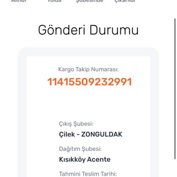 Sürat Kargo Kargonun Gecikme Sorunu