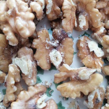 Simbat Kuruyemiş Kurtlanma Ve Böceklenme