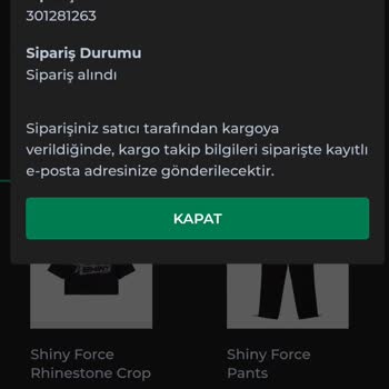 Shiny Force Mesajlarıma Bakmıyor Ve Siparişim Gelmedi