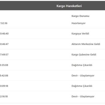 Bir Günde Kargo Bir Gün Kargo Firmasının Ürünleri Teslim Etmemesi Ve Ulaşılamaması