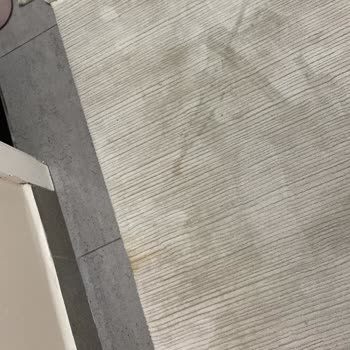 Çevre Halı Yıkama Şikayeti