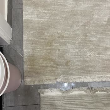 Çevre Halı Yıkama Şikayeti